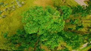 Shelter Island NY Vibess | 🌲Fpv Treestyle
