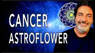 РАК ♋️ Одуманные шаги ведут к непреходящей радости. Энергия Астроцвета