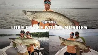 Mid Summer Musky Fishing (Lake Of the Woods!)