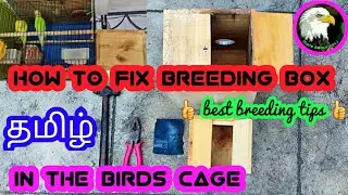 how to fix breeding box in the birds cage | tamil | more about pets | MAP |