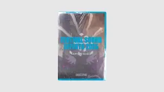 Festival Sound Effects 2025 | Get it now for &euro;29