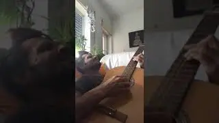 CRIAN&Ccedil;ADA
