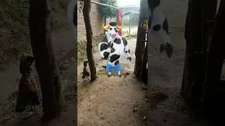 Magic bull 🐂 funny 🤣 dance # viral 😍 video # trinding 🤩 short