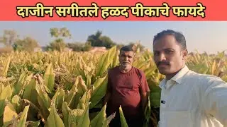 हळद पीकाची दाजी सोबत केली चर्चा # व्यंकटेश कपाटे