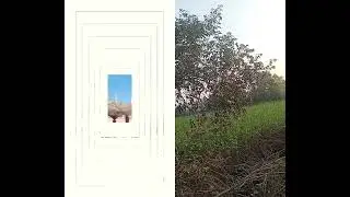 #Short Video @Art Zone 8122#