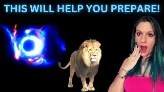 What To Expect For The 8/8 Lions Gate Portal 2023