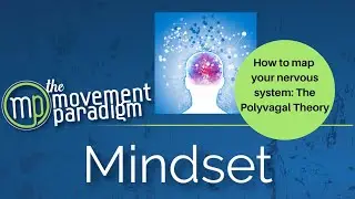 How to map your nervous system: The Polyvagal Theory