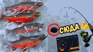 Зимняя рыбалка: делюсь опытом &mdash; техника и приманки Ice Fishing: Arctic char Techniques and Lures