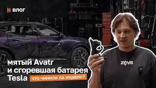 Пилотный VLOG! Пёсель в автосервисе и работы: мятый Avatr, сгоревшая Tesla и другие