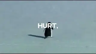 The Nihilist Penguin || Penguin Chooses Peace Over the Untrustworthy Crowd