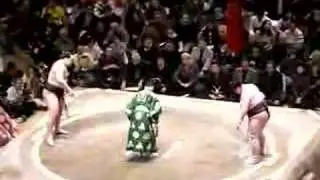 Sumo