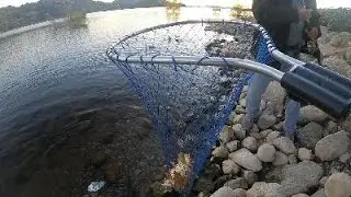 Lake Perris 1-15-2026