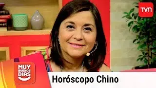 Conoce las predicciones del Hor&oacute;scopo Chino para el 2019 | Buenos d&iacute;as a todos