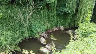 Steinfurter Aa Fluss Schleuse M&uuml;hlenrad