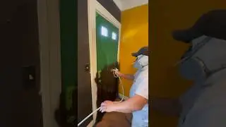 Tricorn Black Scuff Tuff SW Over This Green Door