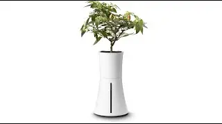 The EASIEST Way to Grow Indoors? Botanium Unboxing