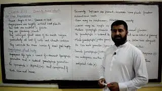 Class Angiospermae (General Characteristics)
