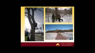 The elms are back: Exercise caution