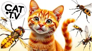 Cat Games : Games for Cats | Non-Stop Action & Fun for Your Kitty Episode09 | 3HOURS 🐝🐞🦋🦎🦜