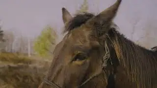 Tom Green and Fanny Ride April 2025