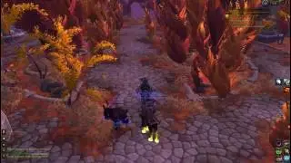 WoW quest - A Re-Warding Effort