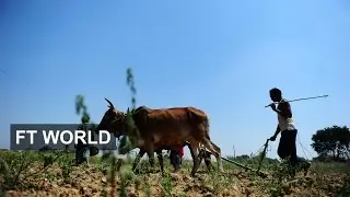 India better prepared for Fed tightening | FT World