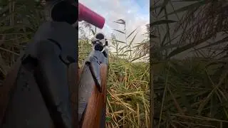 ATA Arms SP Black and steel ammo for duck hunting