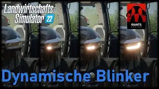 LS22 Dynamische Blinker, Lauflichtblinker oder Schnickschnack halt