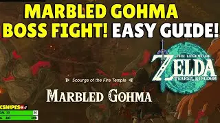 Zelda Tears Of The Kingdom | Marbled Gohma Boss Guide | EASY | No Commentary!
