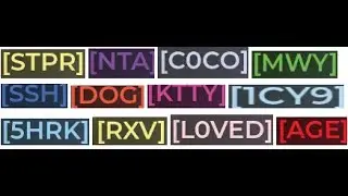 My Team History on Nitro Type