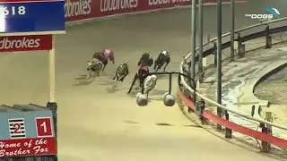 Ladbrokes Country Classic Semi Final 3 - Agland Luai