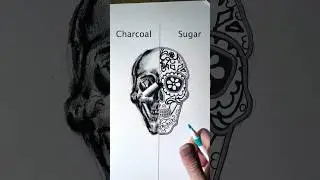 Charcoal vs. Sugar Skull 2/2 #drawing Day of the Dead D&iacute;a de los Muertos #skull #darkside #shorts