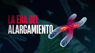 LA ERA DEL ALARGAMIENTO
