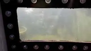 Hochteich mit Fenster die ersten Bewohner