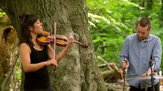 Tree Conversations - excerpt #1 