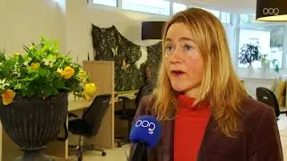 De Wijert wil meer groen en beweging