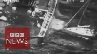 Man leaps off boat in dramatic sea rescue while holding cat - BBC News