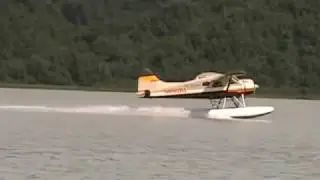 Flightseeing and Bear Viewing on Wolverine Creek with High Adventure Air out of Soldatna, AK