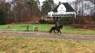 Sm&aacute;ri fr&aring;n Backome