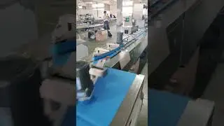 Cookie packaging line How to Pack Cookies Efficient packaging