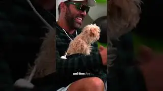 How a puppy can add value to a podcast