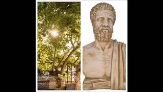 The Hippocrates Plane Tree in Kos