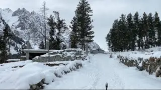 Exploring Naltar Valley In Winter | Gilgit To Naltar Valley | Gilgit Baltistan | Naltar Skiing |