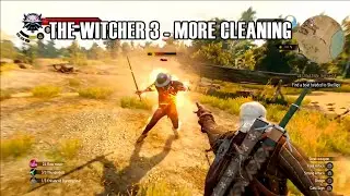 The Witcher 3: Wild Hunt - More Cleaning