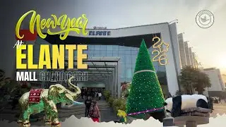Elante Mall Chandigarh New Year 2026 🎉 | Panda World Event 🐼 #ElanteMall #ChandigarhSafari #Panda