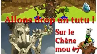 [Dofus] Jeremy-sadi - Allons drop un tutu sur le Ch&ecirc;ne mou #7