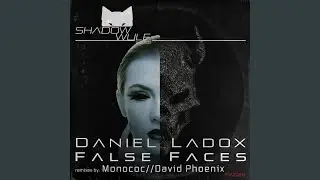 Useful Pain (David Phoenix Remix)