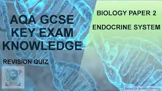 AQA GCSE Biology Paper 2 &ndash; Endocrine system - Key Exam Knowledge Quiz