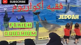 Dolphin Show In Jeddah, Fakieh Aquarium فقيه أكواريوم