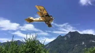 Albatros D3 (oeffag) low pass